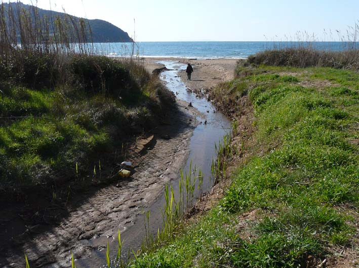 I fossi e lo stagno di Baratti (Piombino - LI)